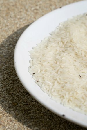 Como se livrar dos gorgulhos - inspecione seu arroz