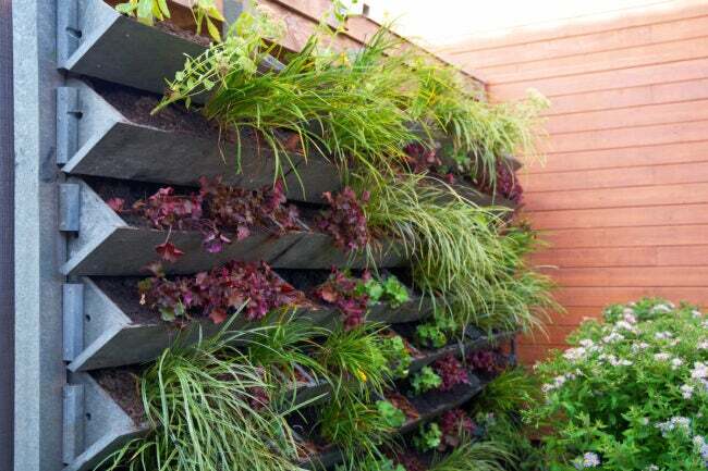 vertikální zahradní nápady ukazující truhlíky namontované na venkovní dřevěnou stěnu