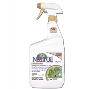 La migliore opzione repellente per insetti puzzolenti: Bonide Neem Oil Fungicida pronto all'uso