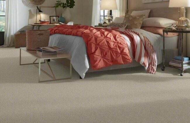 Los mejores lugares para comprar la opción de alfombra La alfombra perfecta