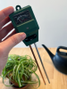 Revisão do Medidor de Umidade do Solo: Usando um Medidor de Umidade para Plantas