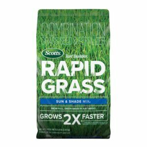Melhor opção de semente de grama para sombra: Scotts Turf Builder Rapid Grass Sun & Shade Mix