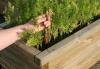 Keyhole Gardening 101: Όλα όσα πρέπει να ξέρετε