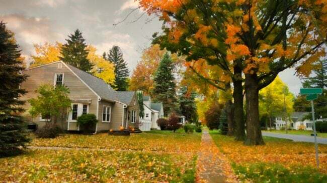 בית אפור בשכונה עם עלים על האדמה ועצים בצבעי סתיו.