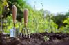20 formas totalmente gratuitas de comenzar un jardín este año