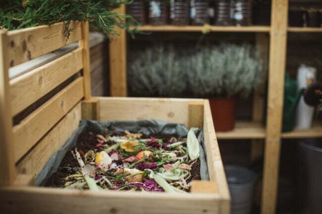 10 dolog, amit minden új kertésznek tudnia kell a komposztláda
