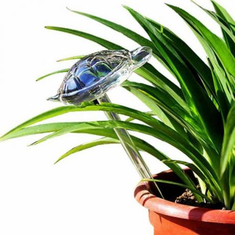 Paras automaattinen kasvien kasteluvaihtoehto: WonderKathy Glass Automaattiset kasvien kastelupallot