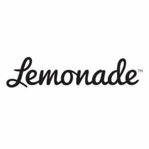 Nejlepší pojištění nájemníků v New Yorku Option Lemonade