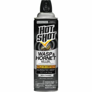 Geriausi vapsvų purškimo variantai: „Hot Shot 13415 Wasp & Hornet Killer“