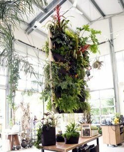 Jardines verticales: interiores