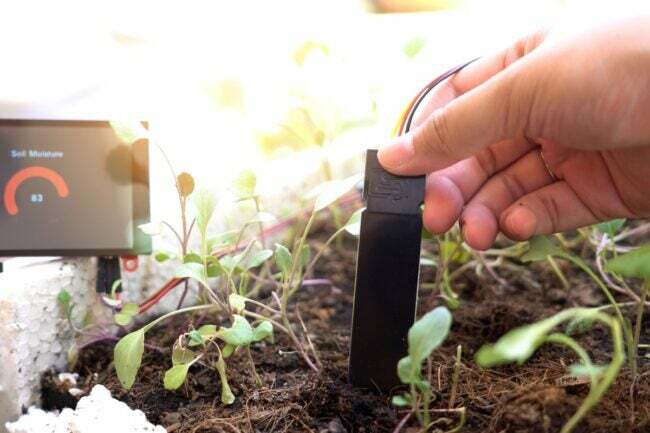 디지털 화면이 있는 토양 테스터를 사용하여 정원 토양 pH를 테스트합니다.