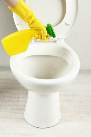 Membersihkan Noda Air Keras Toilet
