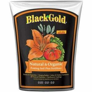 マネーツリーオプションに最適な土壌：Sun Gro BlackGold天然および有機土壌
