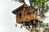 Сколько стоит построить домик на дереве? (2023)