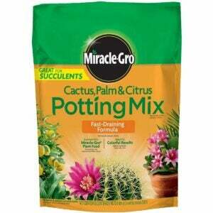 Yılan Bitkileri İçin En İyi Toprak Seçeneği: Mucize-Gro Cactus, Palm & Citrus Potting Mix 8 Qt.