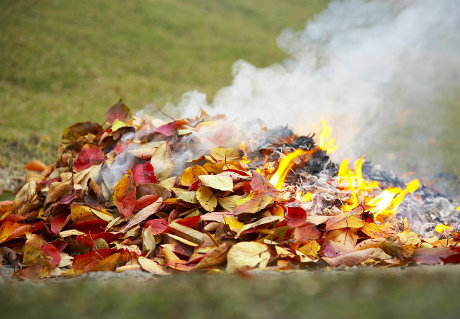 이번 가을에 낙엽을 태우기 전에 알아야 할 6가지