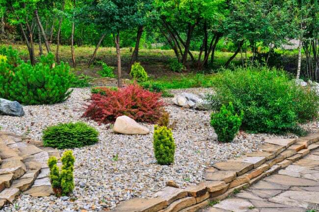 Un jardin potager avec plusieurs types de roches d'aménagement paysager, y compris des dalles de gravier et de calcaire entourant des arbustes verts. 