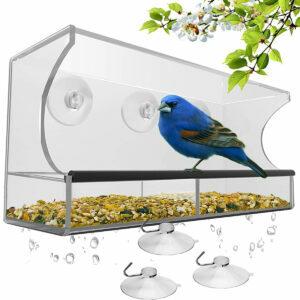 מזין הציפורים הטוב ביותר לאפשרויות הקרדינלים: מזין ציפורים חלון עם כוסות יניקה חזקות
