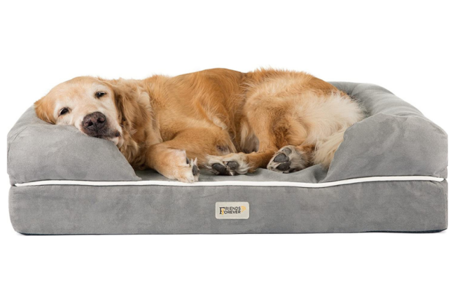 סיכום מבצעים 25/10 אפשרות: מיטת כלבים אורטופדית חברים לנצח