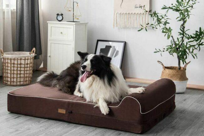 A melhor opção de camas para cães
