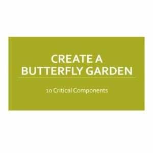 Labākā tiešsaistes dārzkopības nodarbību iespēja: izveidojiet tauriņu dārzu
