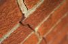 Bob Vila Radio: Brick Repairs