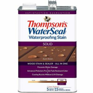 En İyi Solid Deck Leke Seçenekleri: THOMPSONS WATERSEAL TH.043841-16