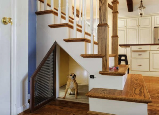niski widok schodów prowadzących do kuchni z otwartymi drzwiami do przestrzeni pod schodami, w której ukrywa się mały pies