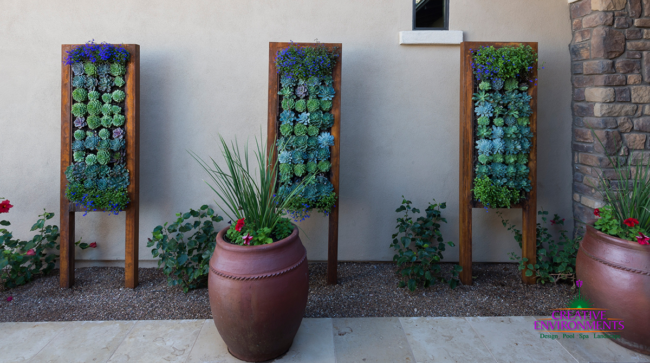 entrada externa com molduras de plantas suculentas posicionadas verticalmente contra uma parede externa