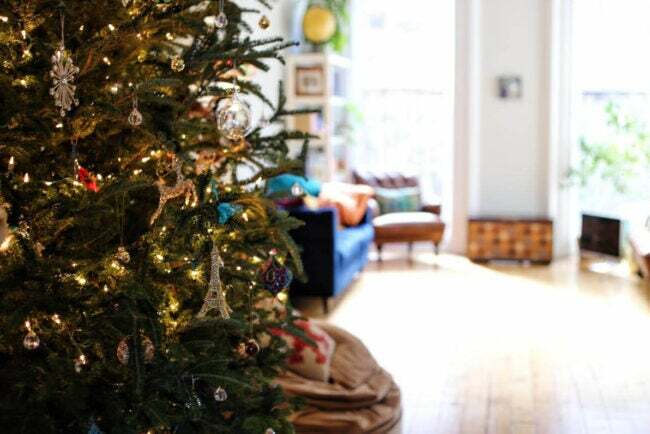 Najboljša možnost dostave božičnega drevesa: Božično drevo Brooklyn