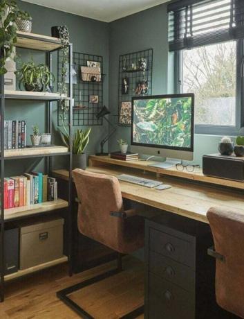 Adaçayı yeşili duvarlar, bitkiler ve toprak tonlarında dekora sahip ev ofisi