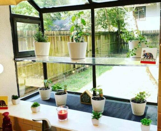Sklenené police v kuchynskom okne s výhľadom na dvor, s črepníkovými rastlinami a bylinkami na poličke