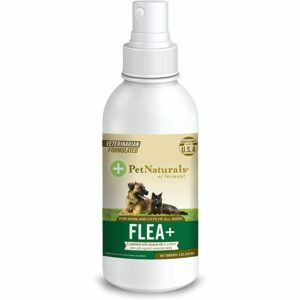 A melhor opção de spray contra pulgas: Pet Naturals de Vermont - FLEA + TICK Repelente Spray