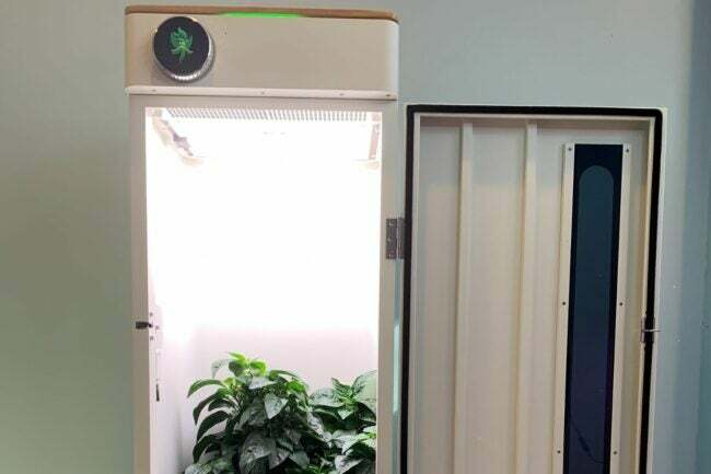 Дверцята ящика для вирощування HeyAbby відкриваються, щоб побачити рослину зеленого перцю, що росте всередині.