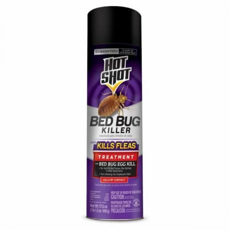 A melhor opção de spray para insetos de cama: tiro quente assassino de percevejos 
