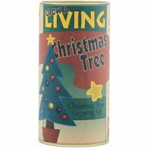 საჩუქრები მებოსტნეებისთვის ვარიანტი: Jonsteen Company Living Christmas Tree
