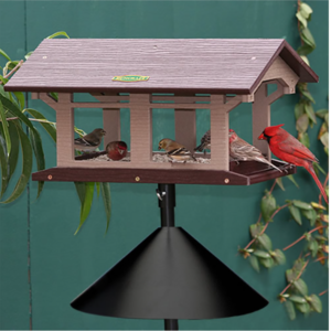 Melhores opções de alimentadores de pássaros: Alimentador de ponte coberta por calado
