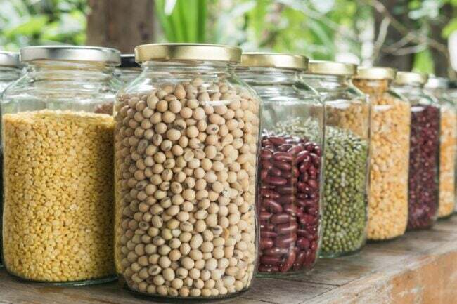 aliments qui n'expirent jamais - différents types de haricots secs dans des bocaux transparents