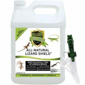 Melhor opção de repelente de lagarto: spray repelente de lagarto e lagartixa de armadura natural