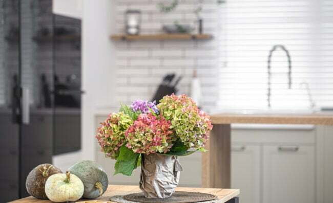 iStock-1288775539 potteplante hortensia på tape på kjøkkenet