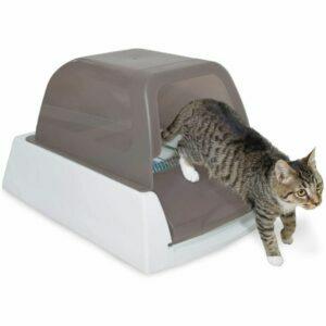 Cea mai bună opțiune pentru cutie pentru așternut: PetSafe ScoopFree Ultra Cutie pentru așternut