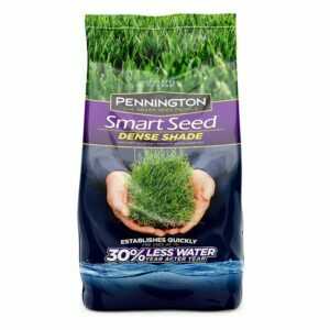 As melhores opções de sementes de grama: Pennington Smart Seed Dense Shade