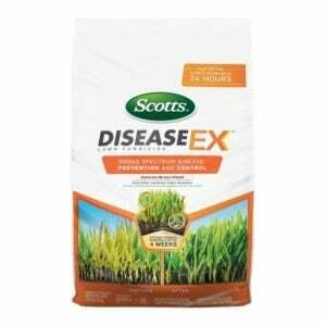 A melhor opção de fungicidas de gramado: Scotts DiseaseEx fungicida de gramado