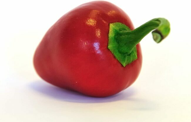 druhy paprik - pimento pepř