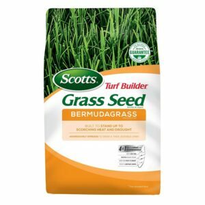 As melhores opções de sementes de grama: Scotts 18353 Turf Builder Bermudagrass