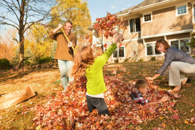 Egy őszi gereblyéző család együtt távozik a szabadba, csapatként dolgoznak az otthoni hátsó udvaron. A gyerekek, fiú és lány, segítséget nyújtanak, segítenek a szülőknek gereblyézni és zsákolni. Egy lakóépület, a házuk áll a háttérben. A boldog csoport csapatmunkát és összetartozást közvetít az őszi udvari munkák elvégzése során.