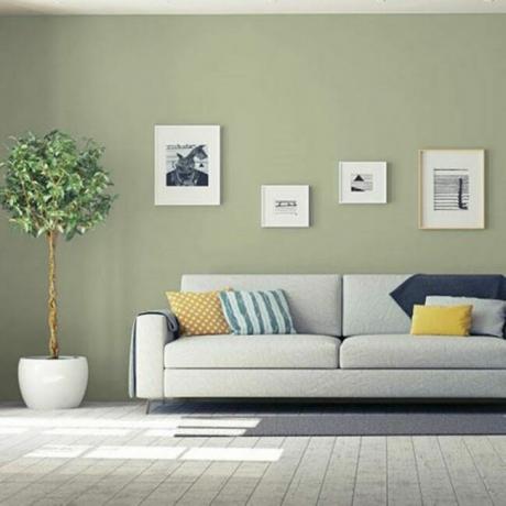 Wohnzimmer mit olivfarbener Wandfarbe