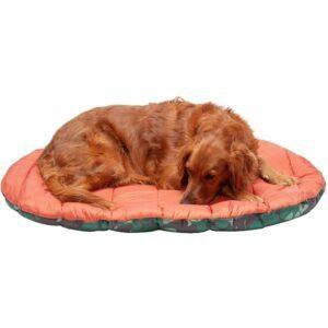האפשרות הטובה ביותר למיטות כלבים: חיית מחמד Furhaven - מיטת נסיעות ארוזה