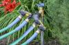 Nejlepší rozmetadlo zahradní hadice pro vaše zahradnické potřeby