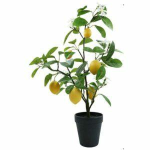 Det beste alternativet for falske planter: CEWOR 2 stk. Kunstige hengende planter